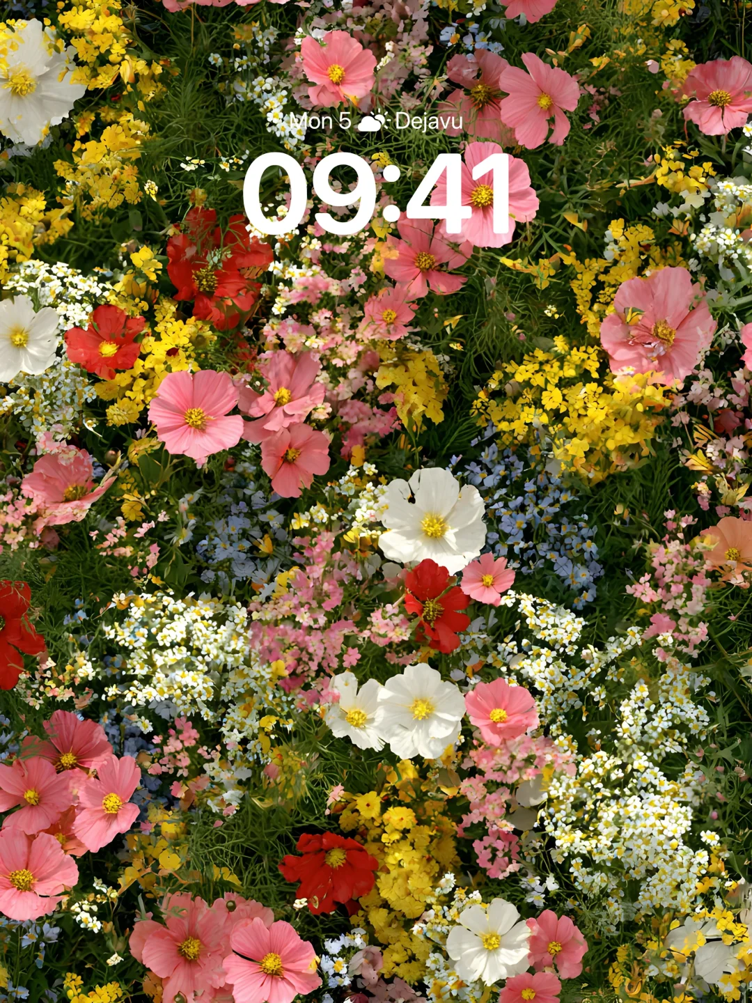 春日繁花，层层绽放｜高清壁纸｜377