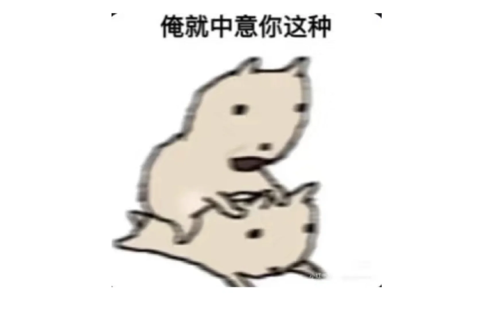 北京周围城市有性价比高的写真馆吗