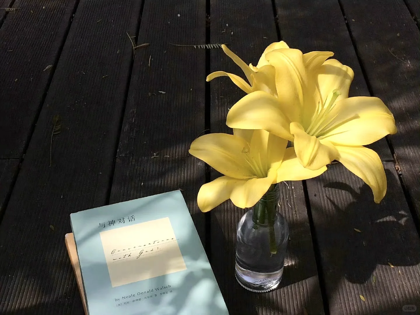 好看的 🟡 iPad壁纸