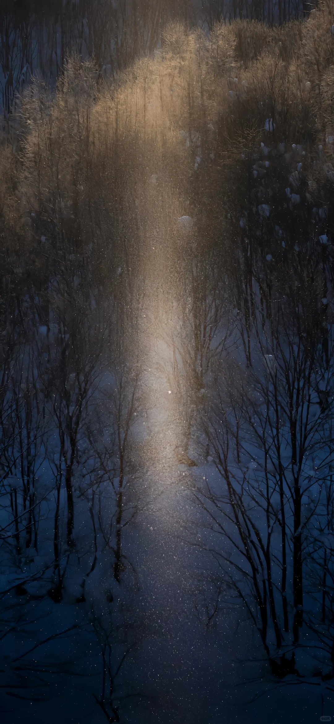 𝙎𝙃𝘼𝙍𝙀❄️ | ins冬日雪景壁纸