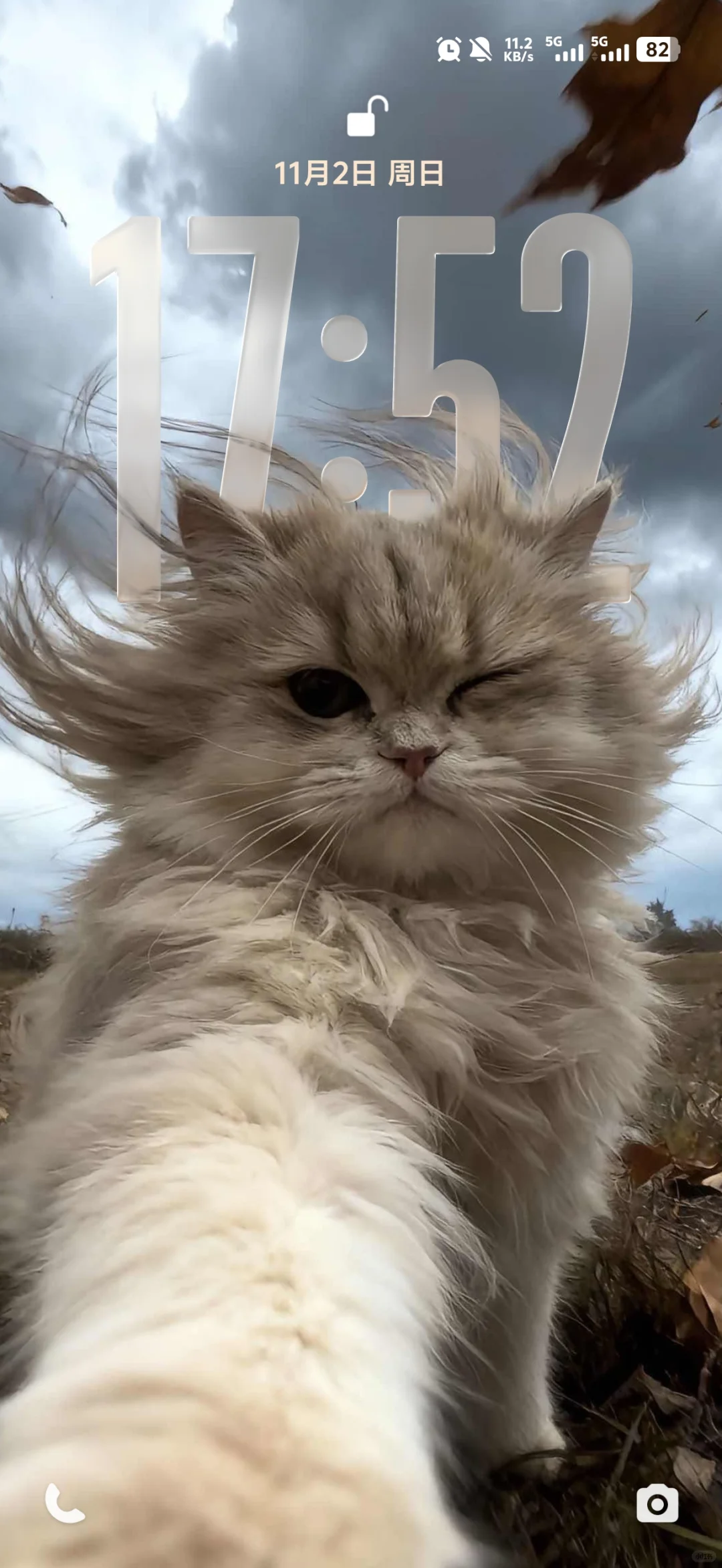 新系统壁纸真好看啊