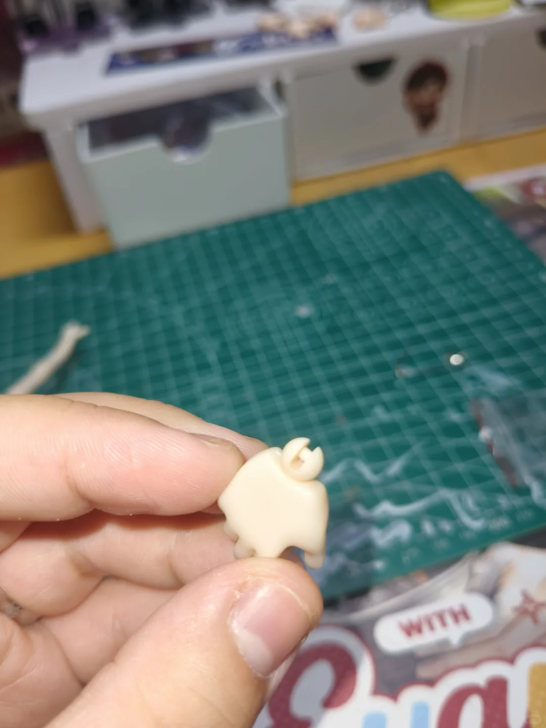 测评一下树脂早梨女