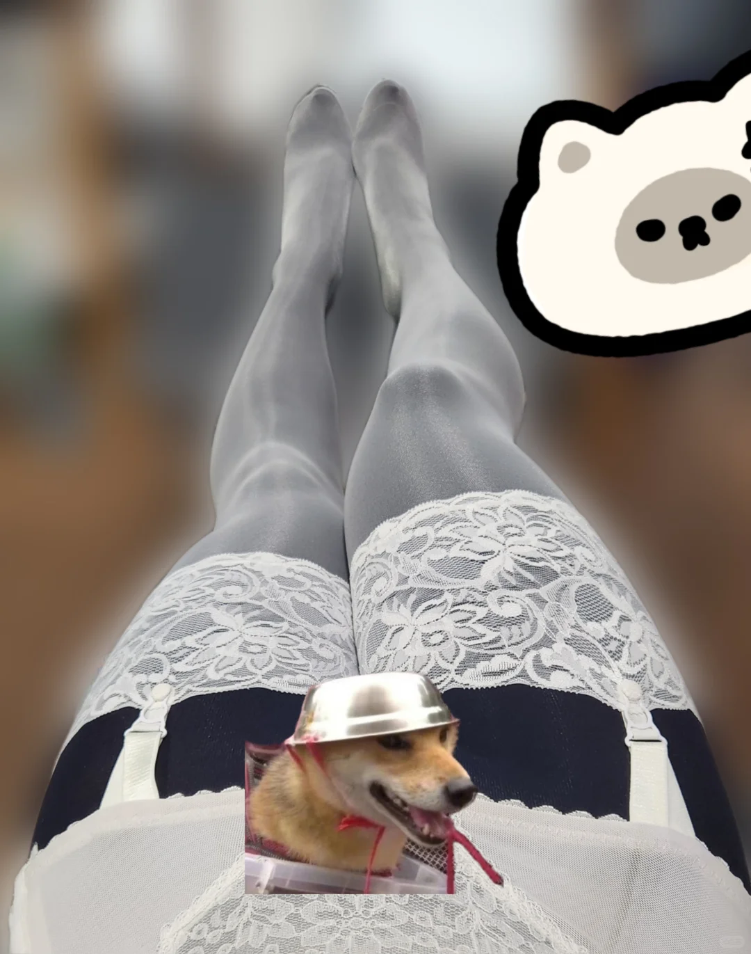 今天一口气整三样介绍（doge）裤袜+吊带袜