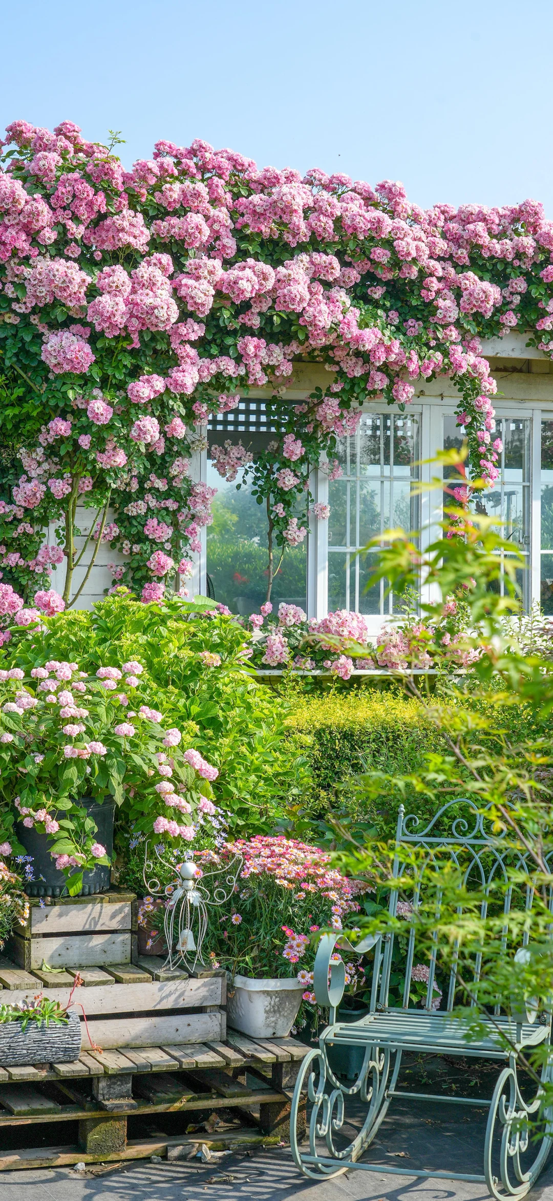 期待美好事情发生