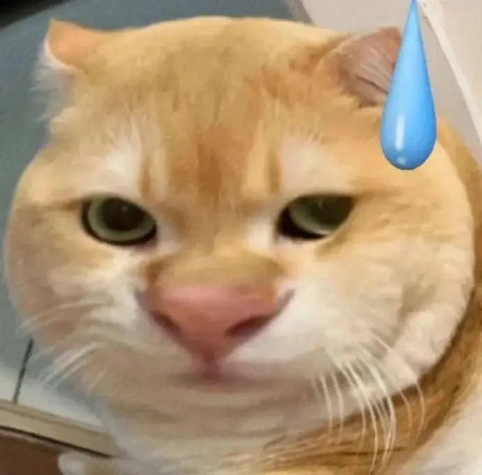 超实用的抽象表情包～