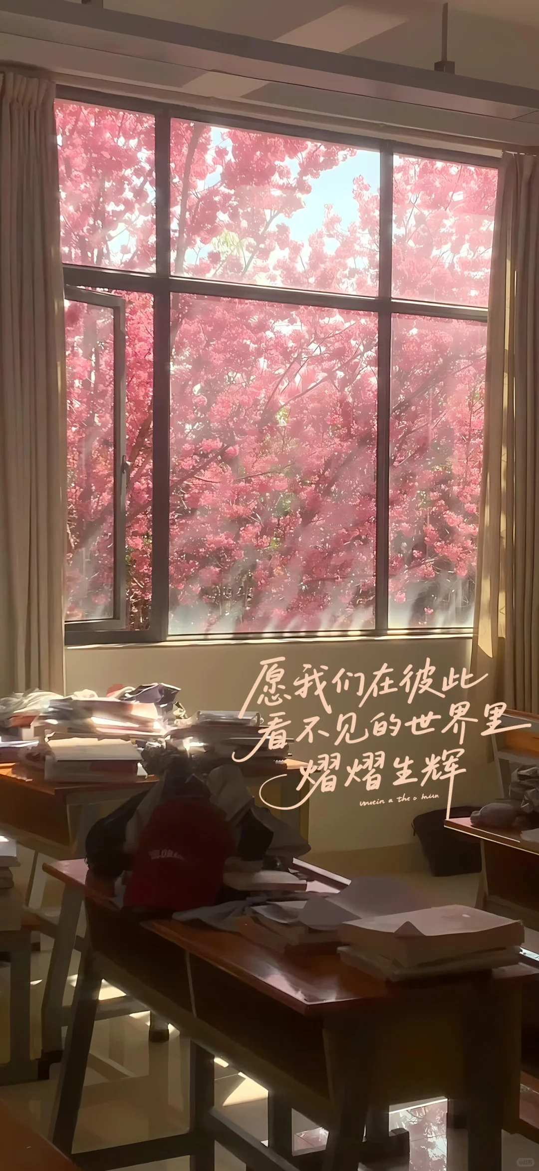 2025最火壁纸，手机壁纸，iphone壁纸