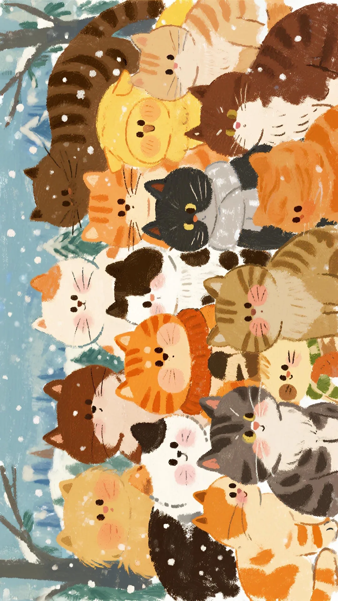 ✨壁纸|秋天🍂 猫猫全屏墙纸！喵喵~🐱