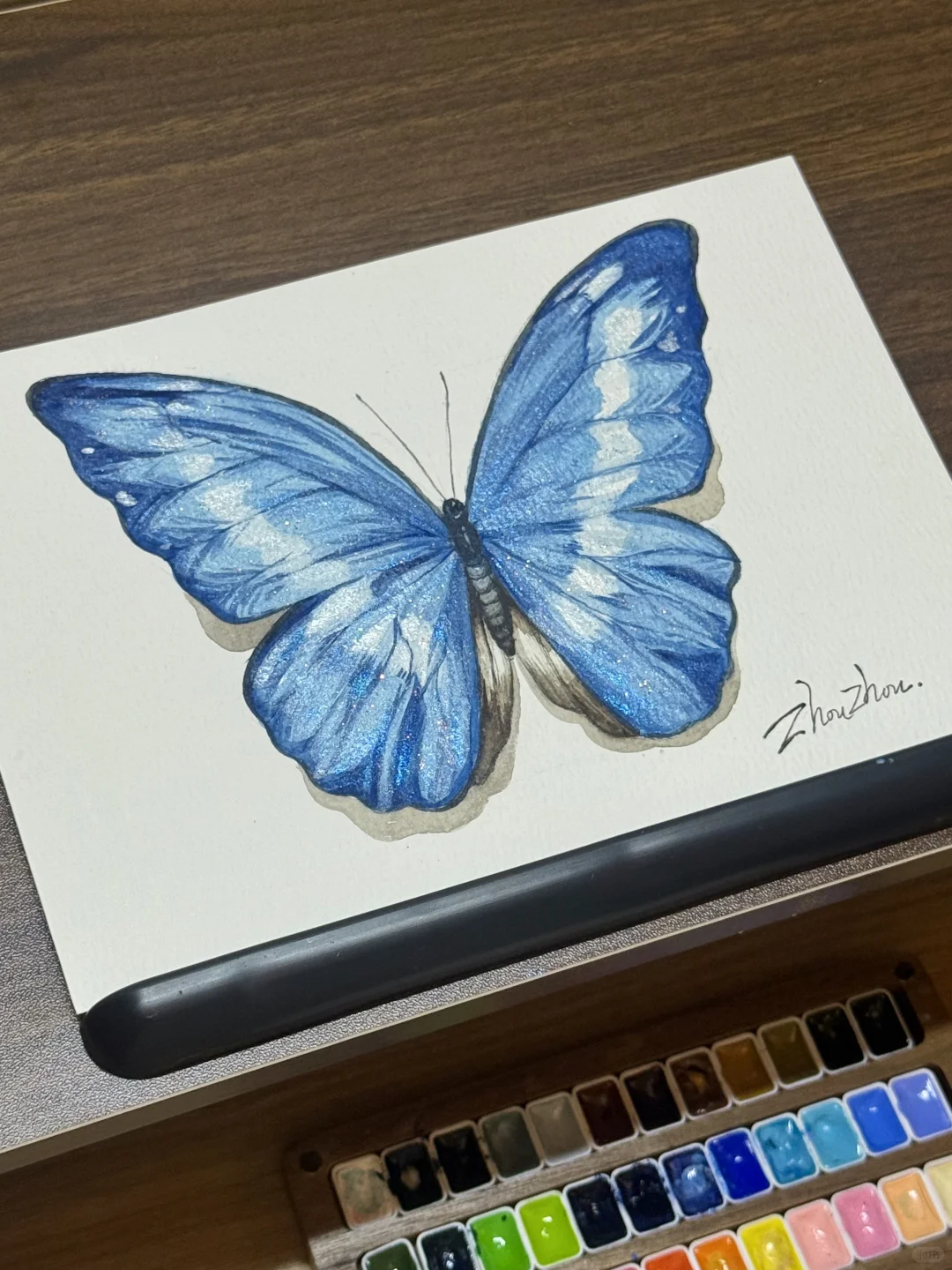 水彩｜光明女神蝶🦋