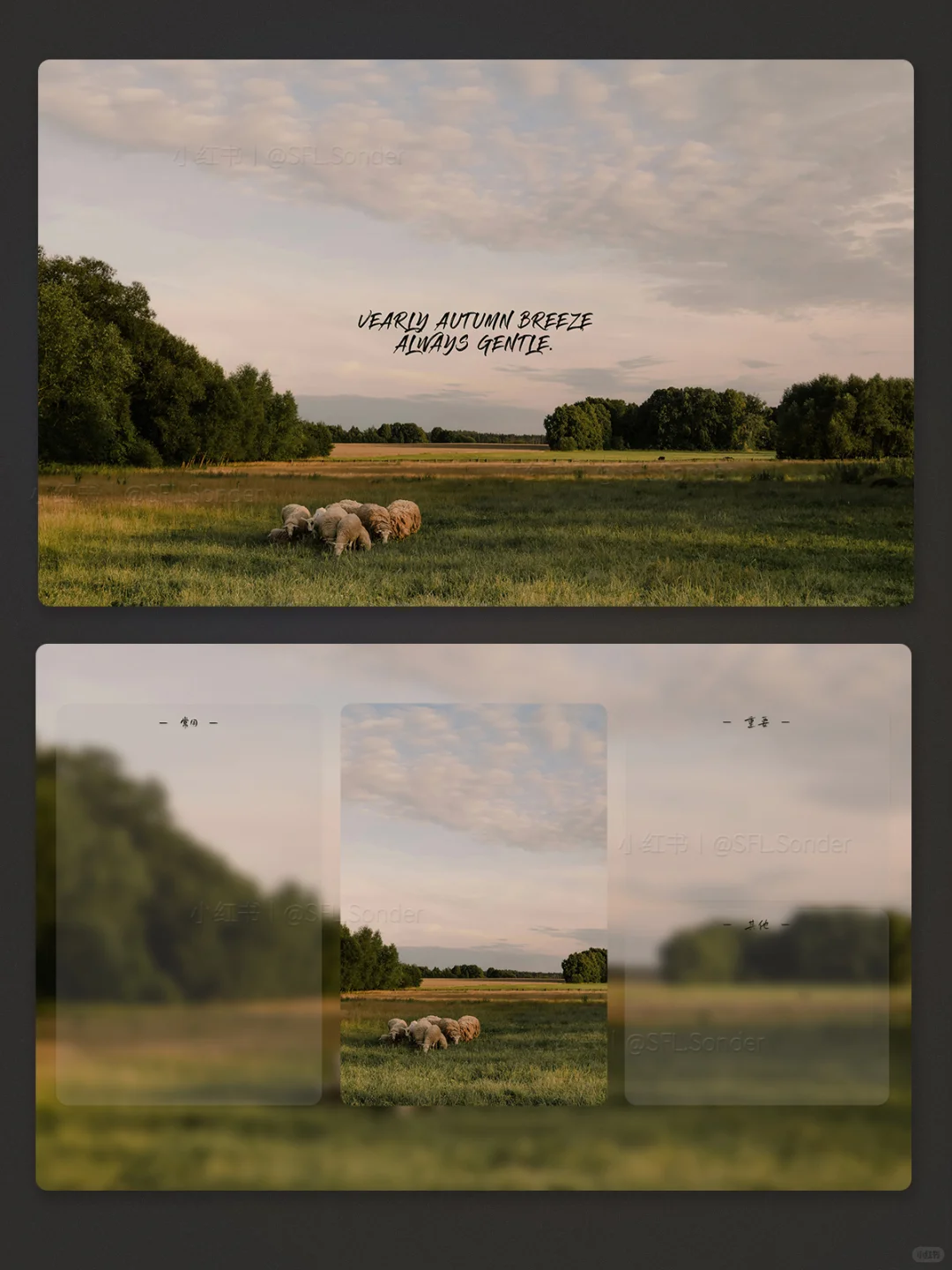 “秋日小羊·秋天风总是微凉.”#电脑壁纸