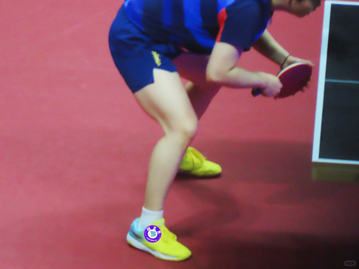 孙颖莎的梦女来也