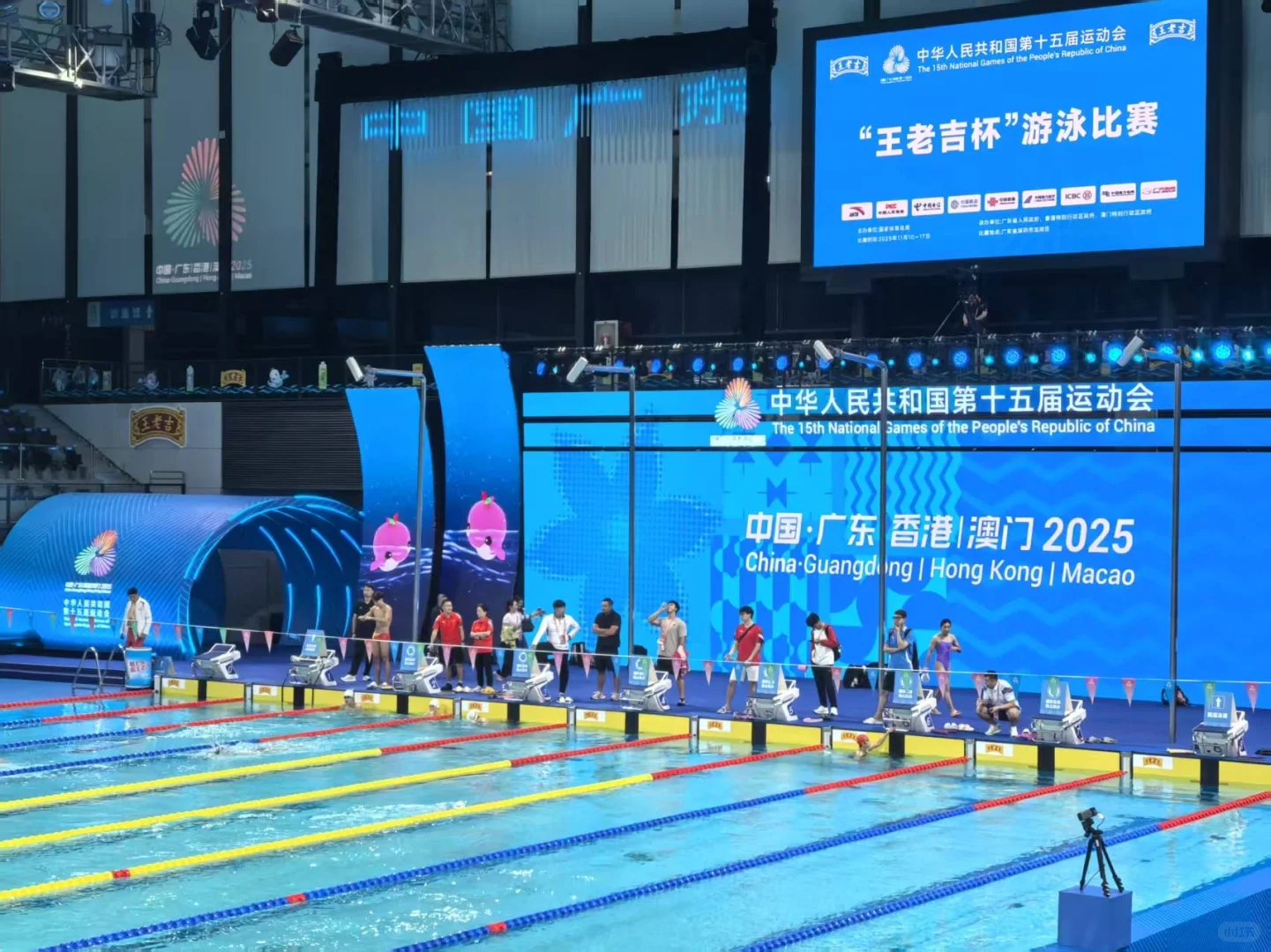 蝶后全是高光时刻 女泳还是太太太优秀了！