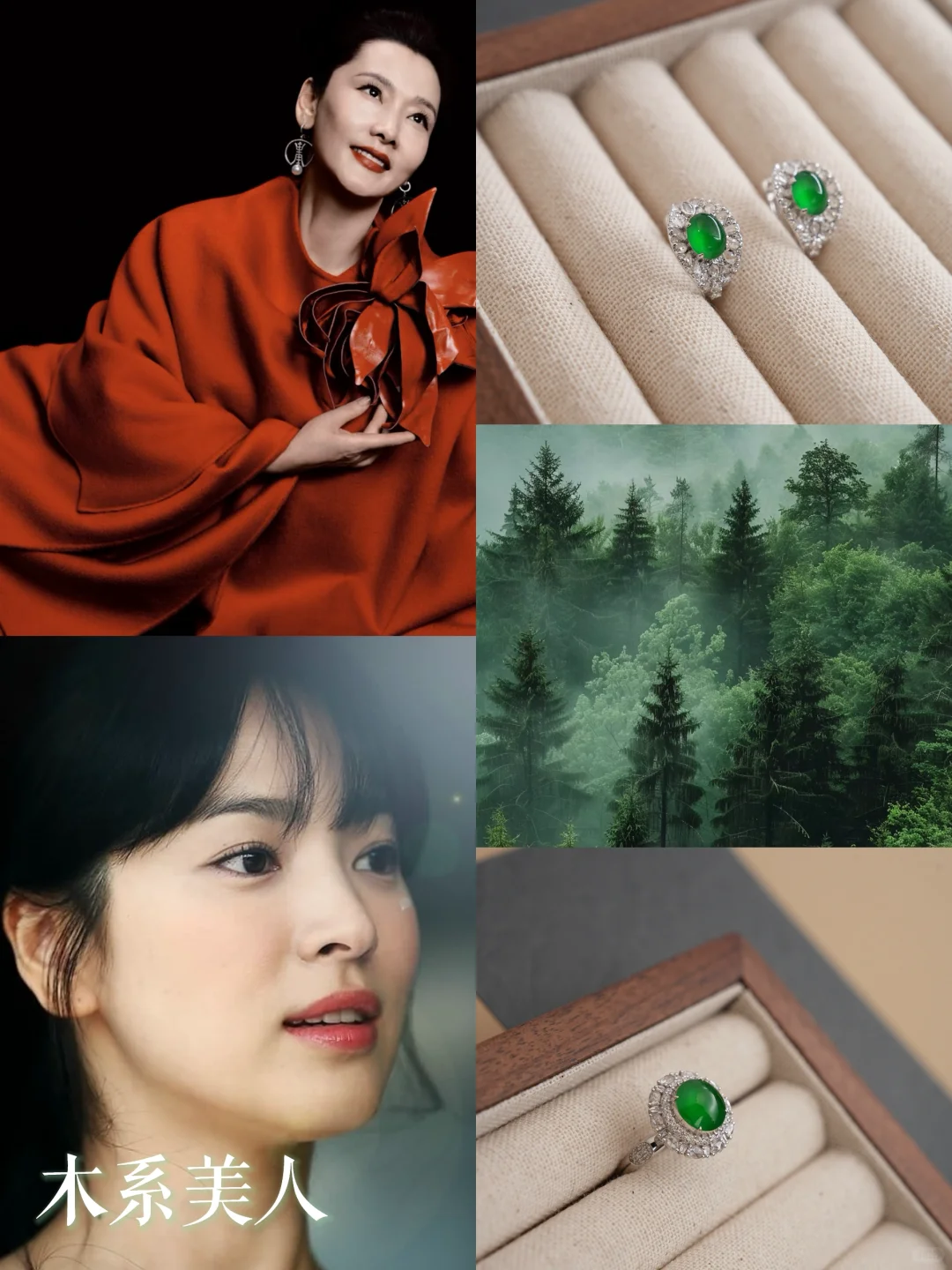 女性五行风格分析：五行美人，各绽其华✨