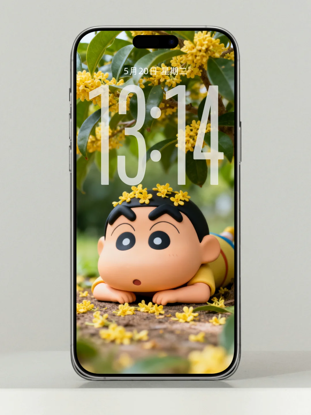 小新壁纸｜桂花樹下