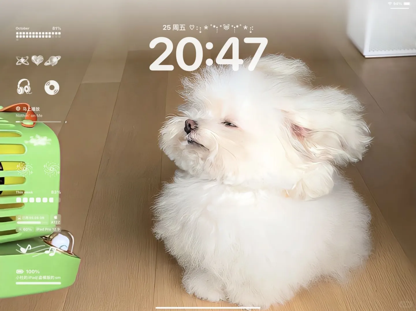 小狗iPad壁纸>ᴗoಣ10.27 #ipad平板壁纸 #