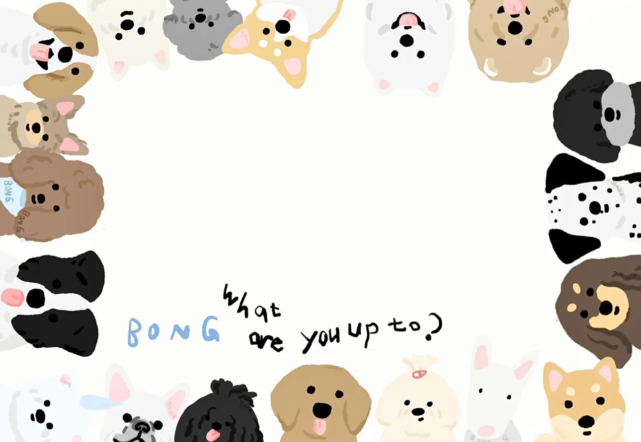 腊肠狗|电脑ipad壁纸套图✨