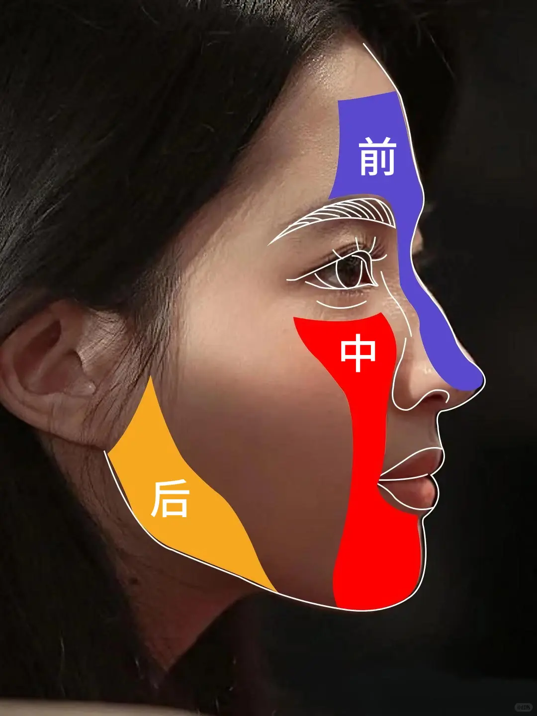 好看脸的共性被我发现了！