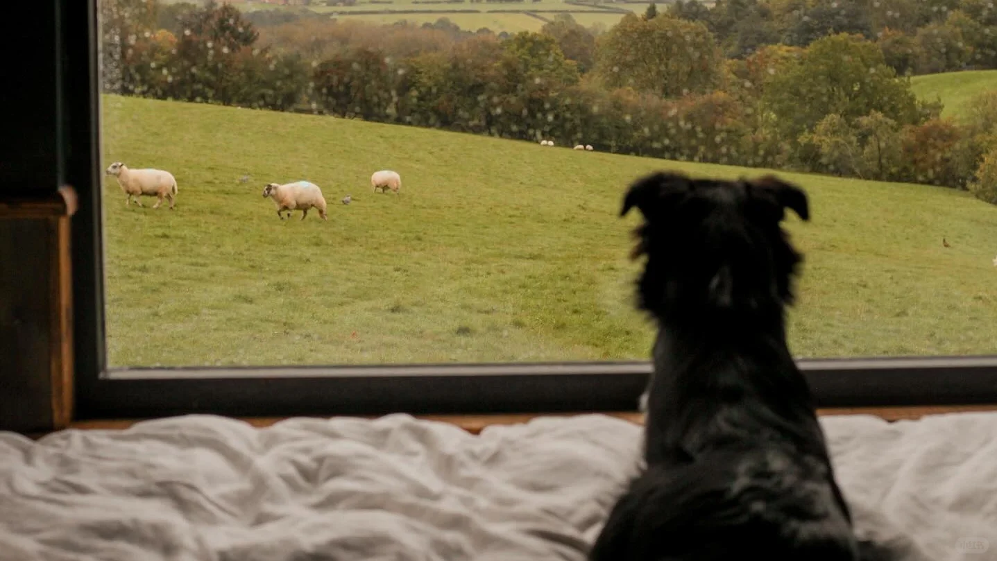 横屏壁纸 🌸🌊🍃