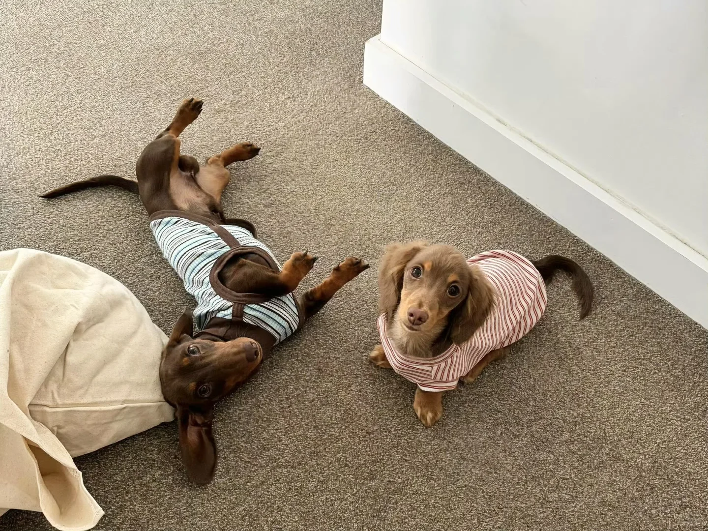 好看的 🟡 iPad壁纸