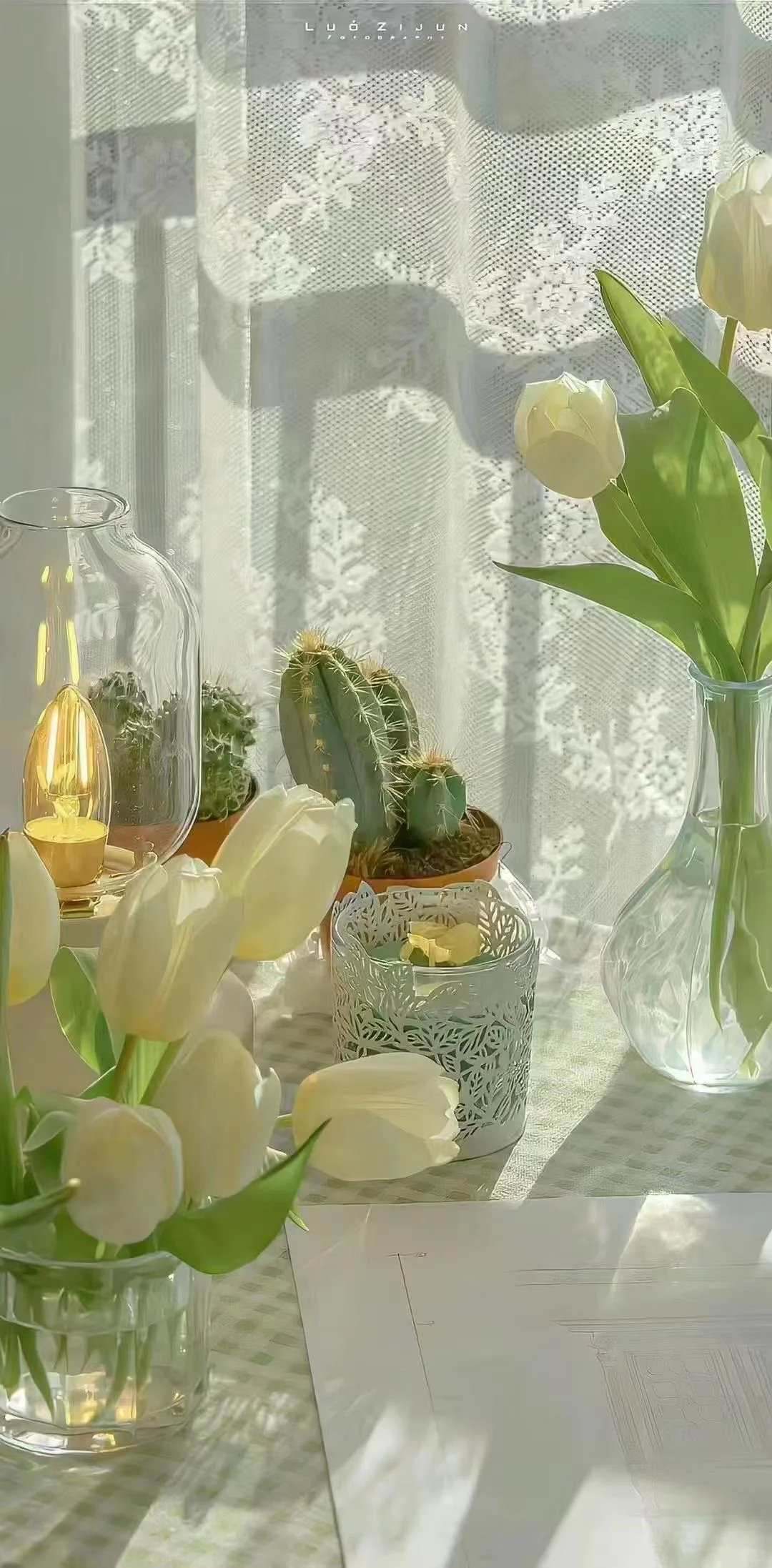 ☘️治愈系壁纸