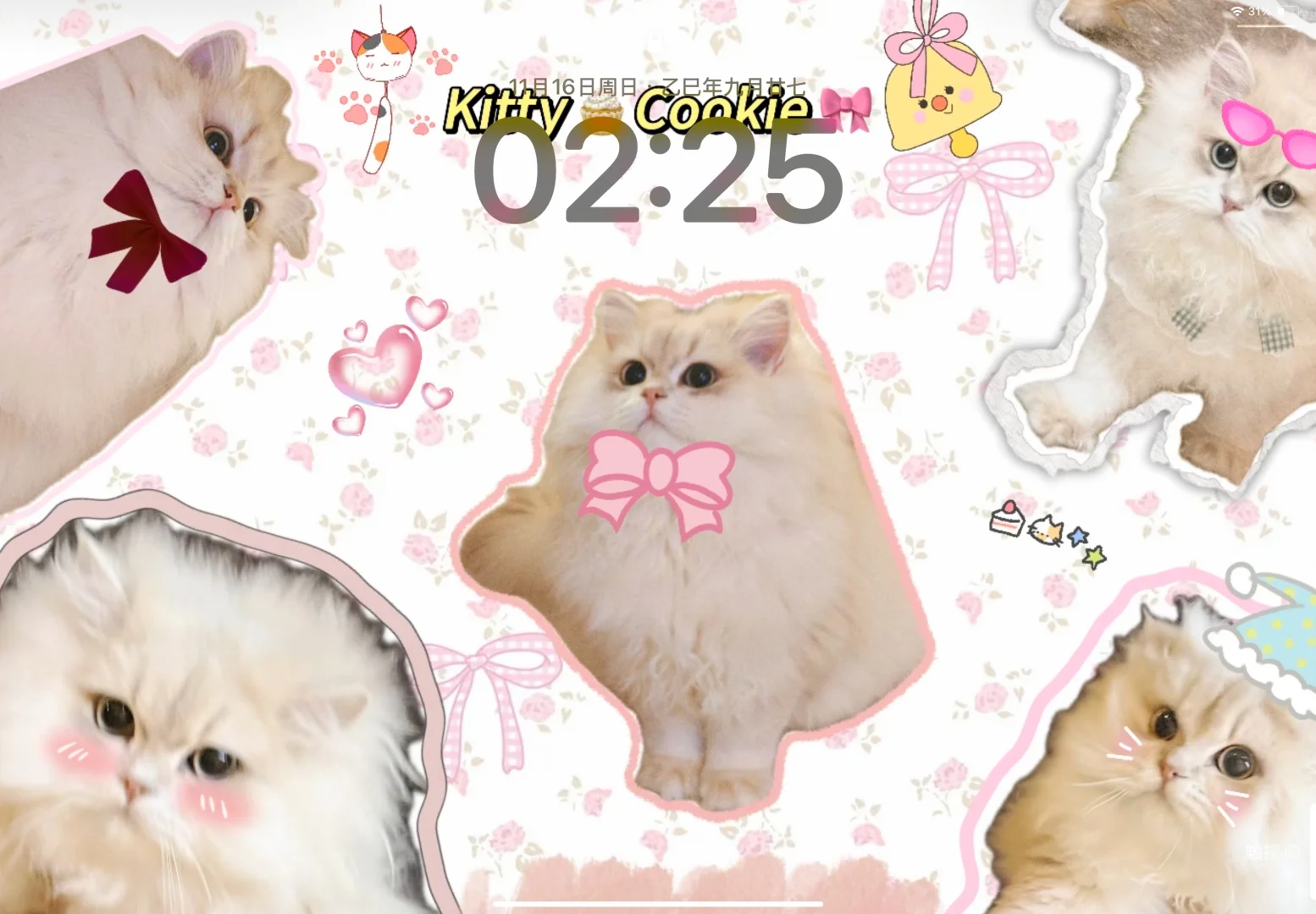 自制ipad猫咪壁纸