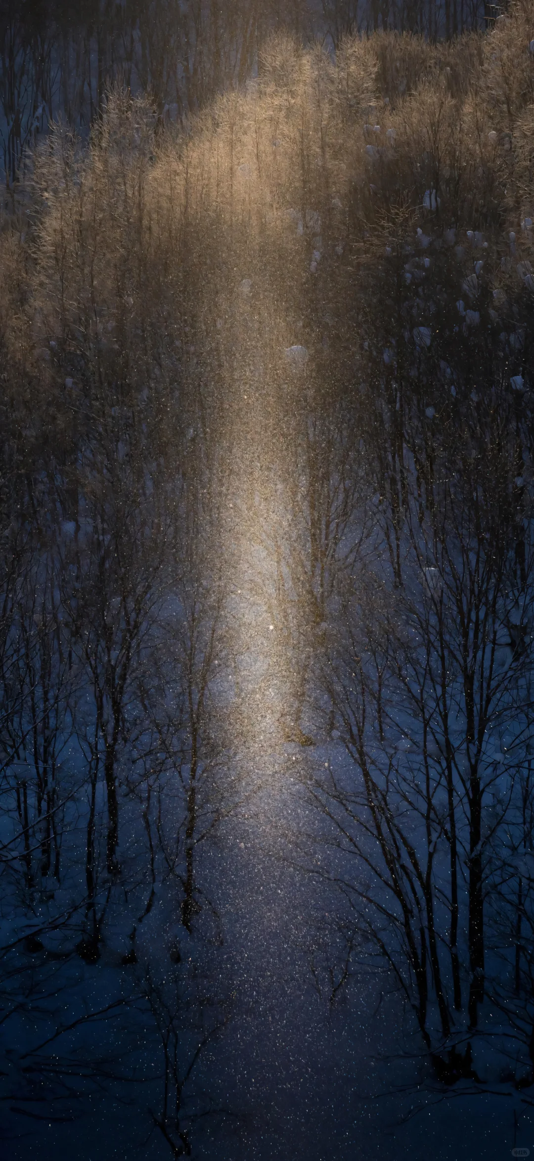 iOS26·雪景壁纸·好美！