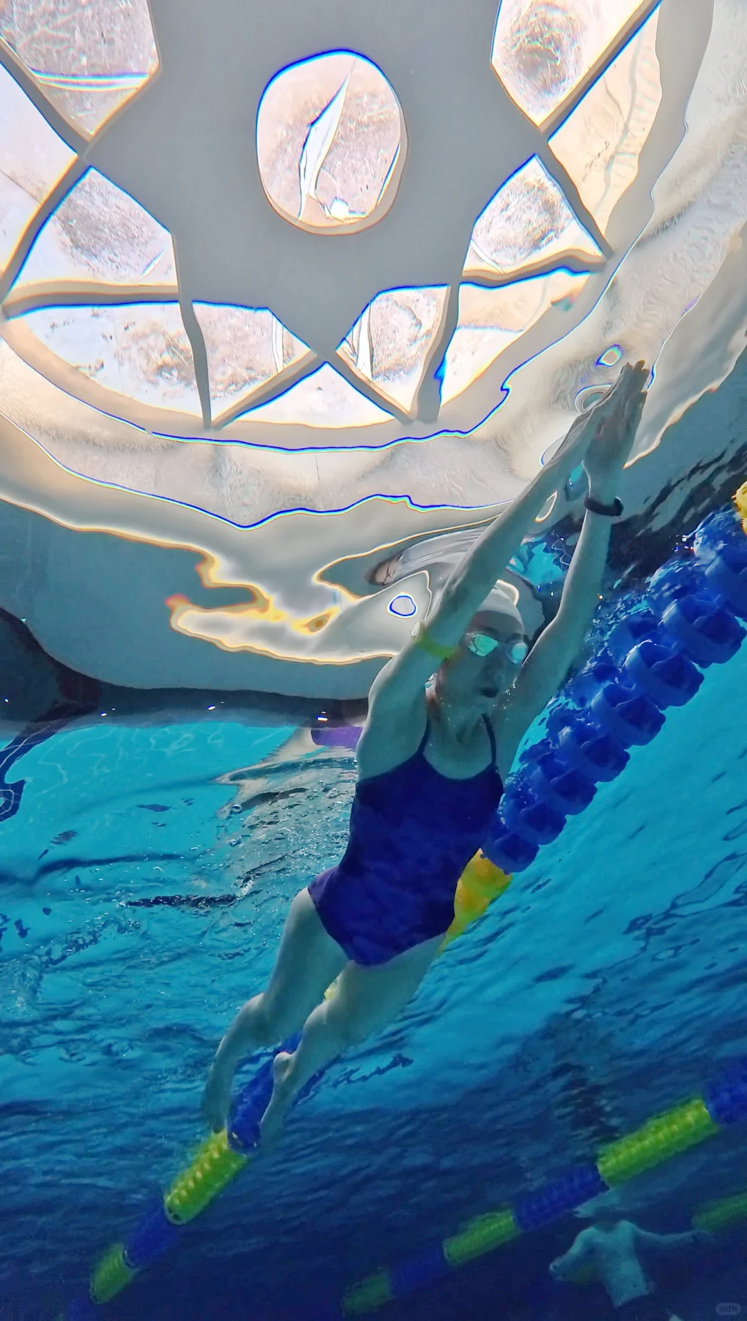 如果你也喜欢游泳 那我们就是好朋友