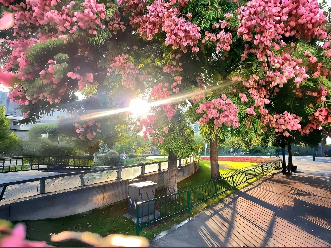 iOS26平板党狂喜！3D景深裸眼壁纸太绝了✨