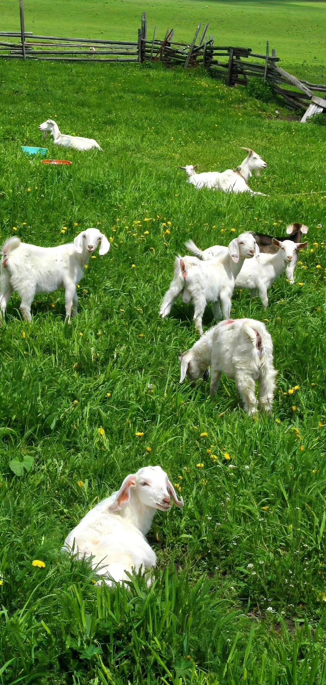 苹果ios26景深壁纸