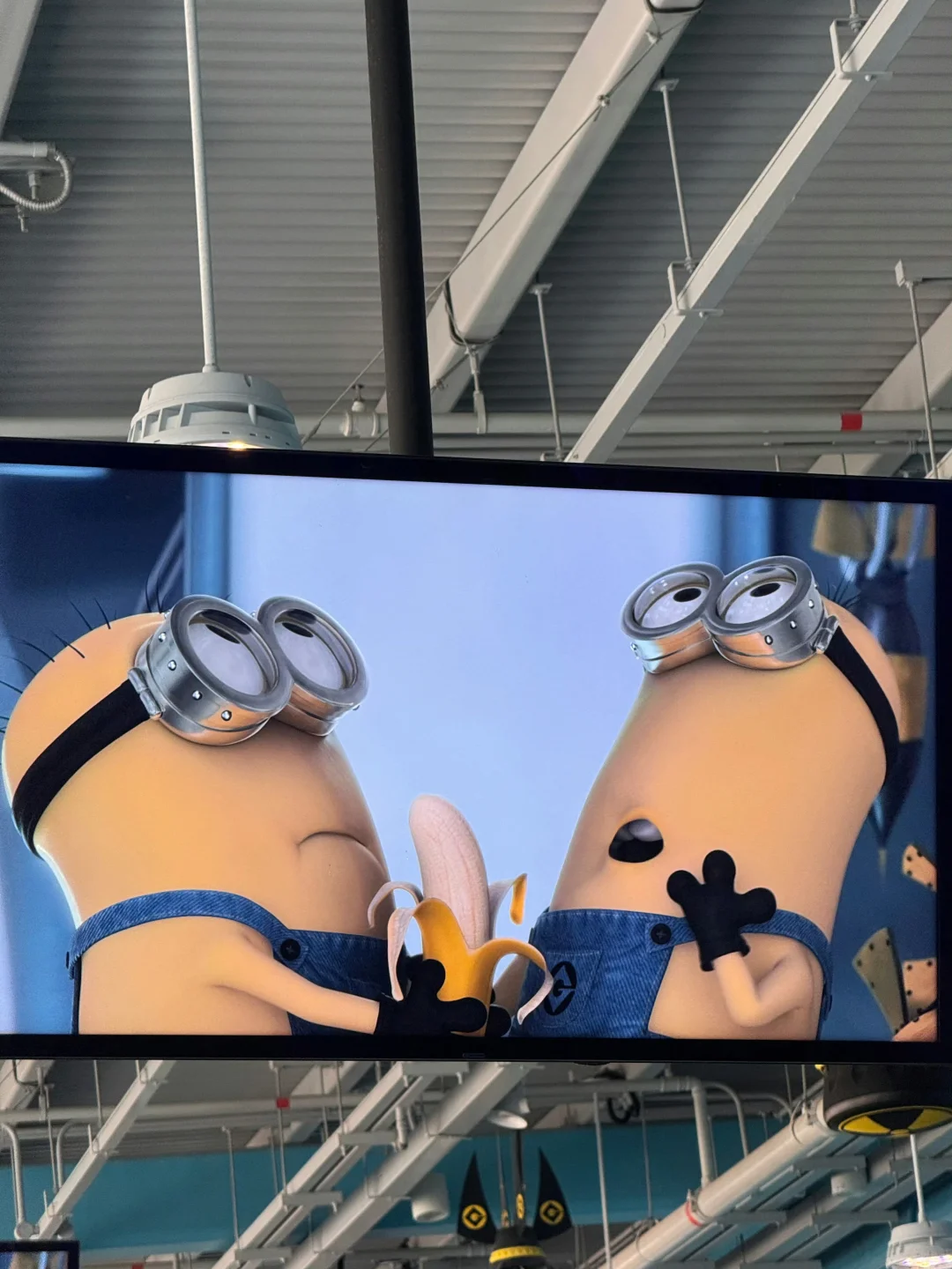 🇸🇬 𝙐𝙣𝙞𝙫𝙚𝙧𝙨𝙖𝙡 𝙞𝙣 𝙎𝙂 🌍🎢