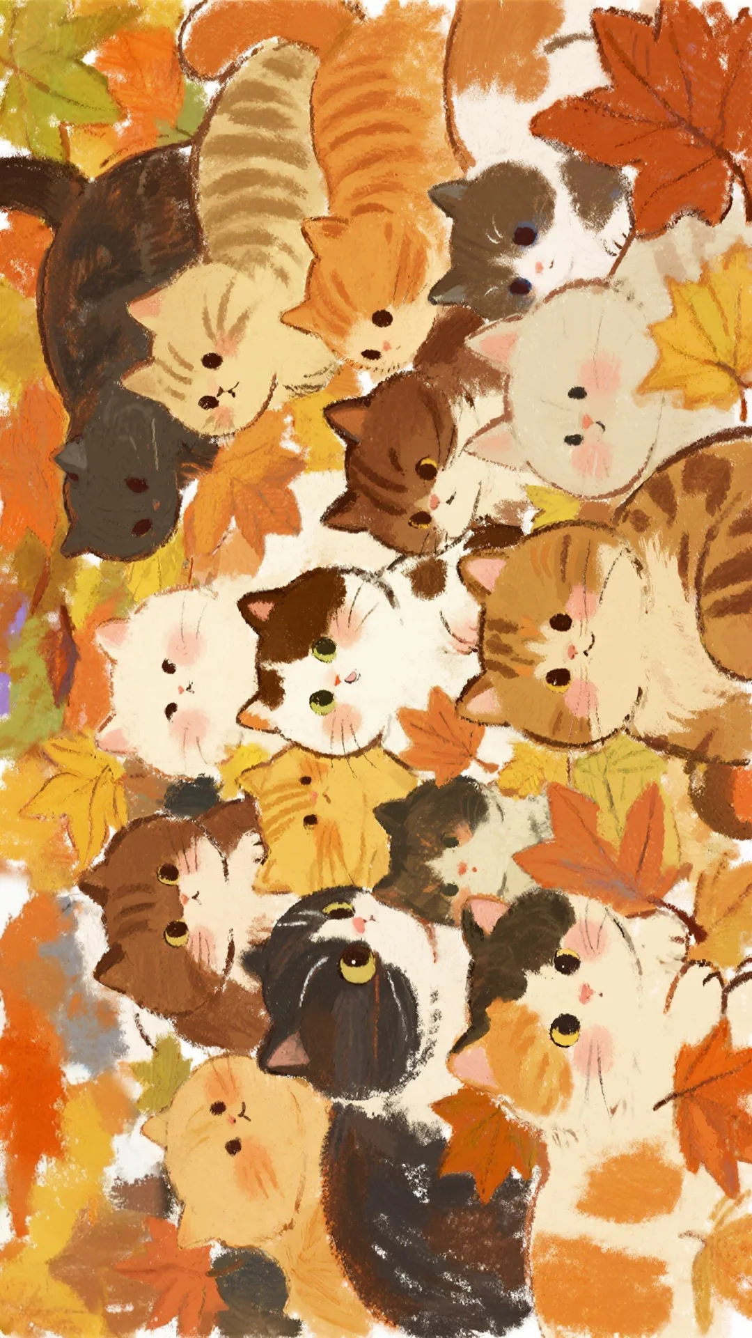 ✨壁纸|秋天🍂 猫猫全屏墙纸！喵喵~🐱