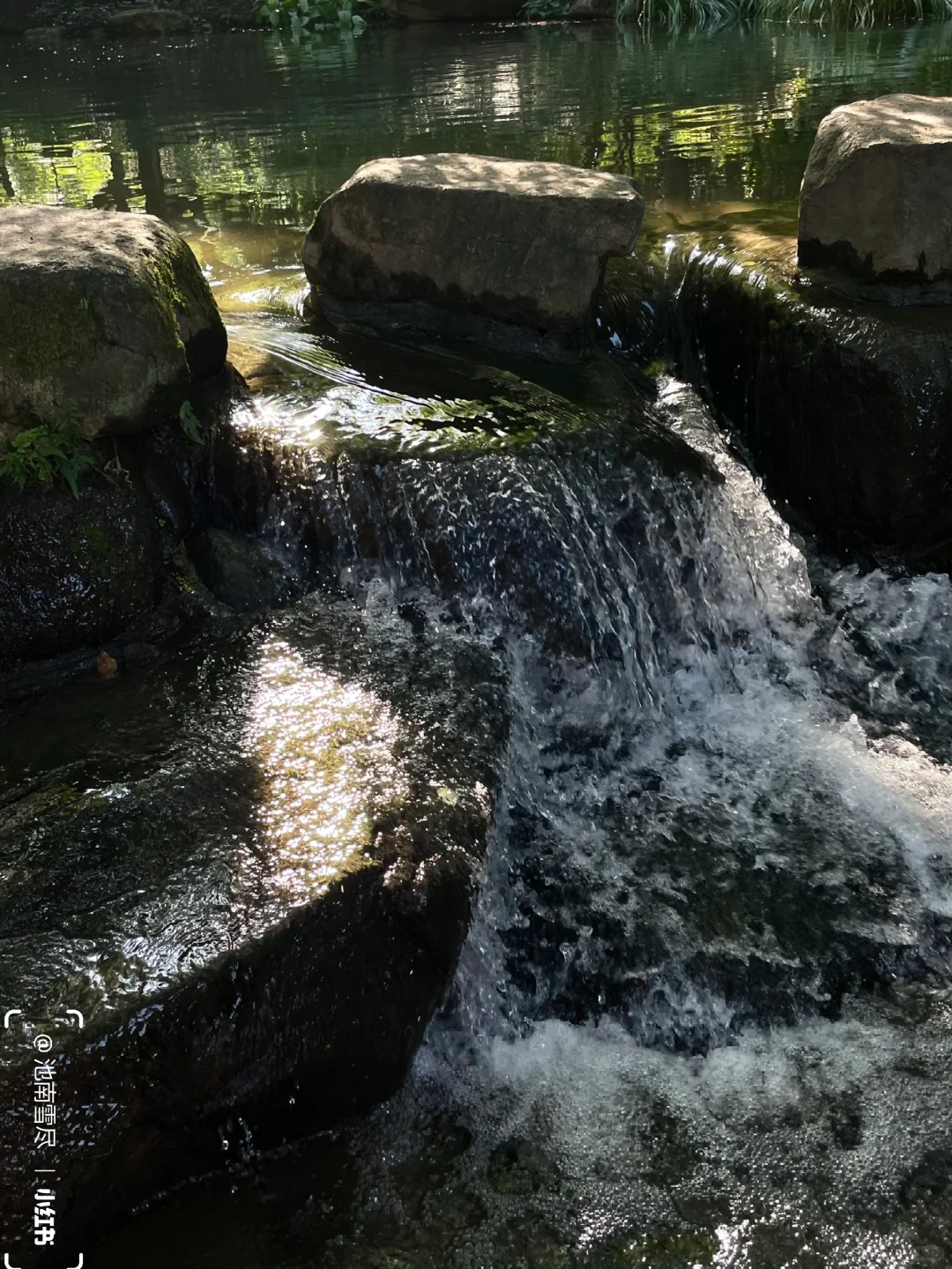 𝚂𝚌𝚘𝚝𝚝𝚒𝚜𝚑 𝙵𝚘𝚛𝚎𝚜𝚝⛰️拂晓森林