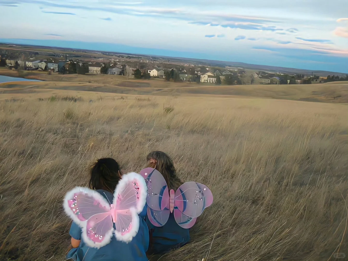 ipad电脑壁纸更新