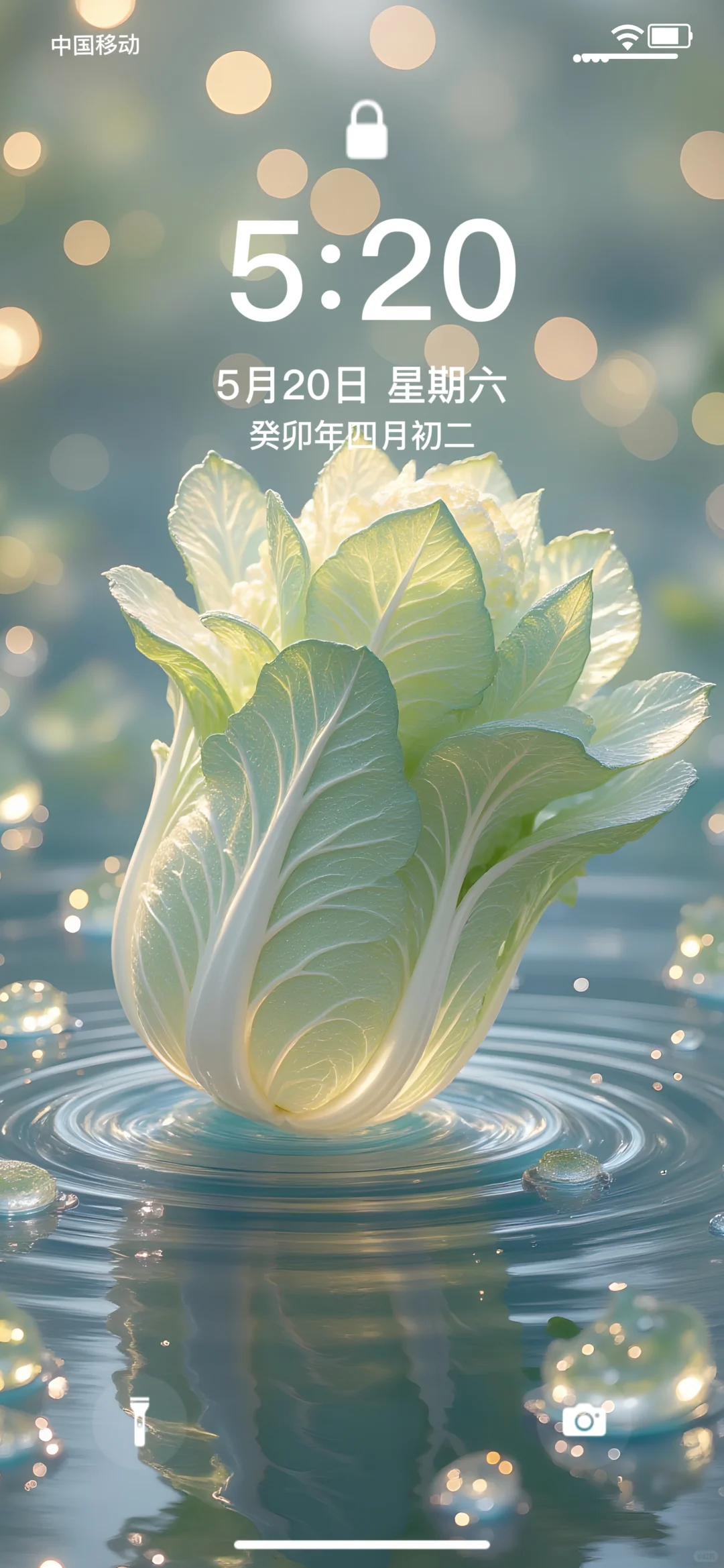 清池白菜 | 治愈写实 | 高清壁纸