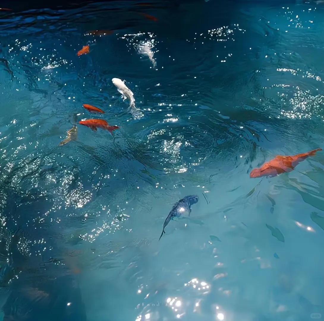 「小众の壁纸」系列1