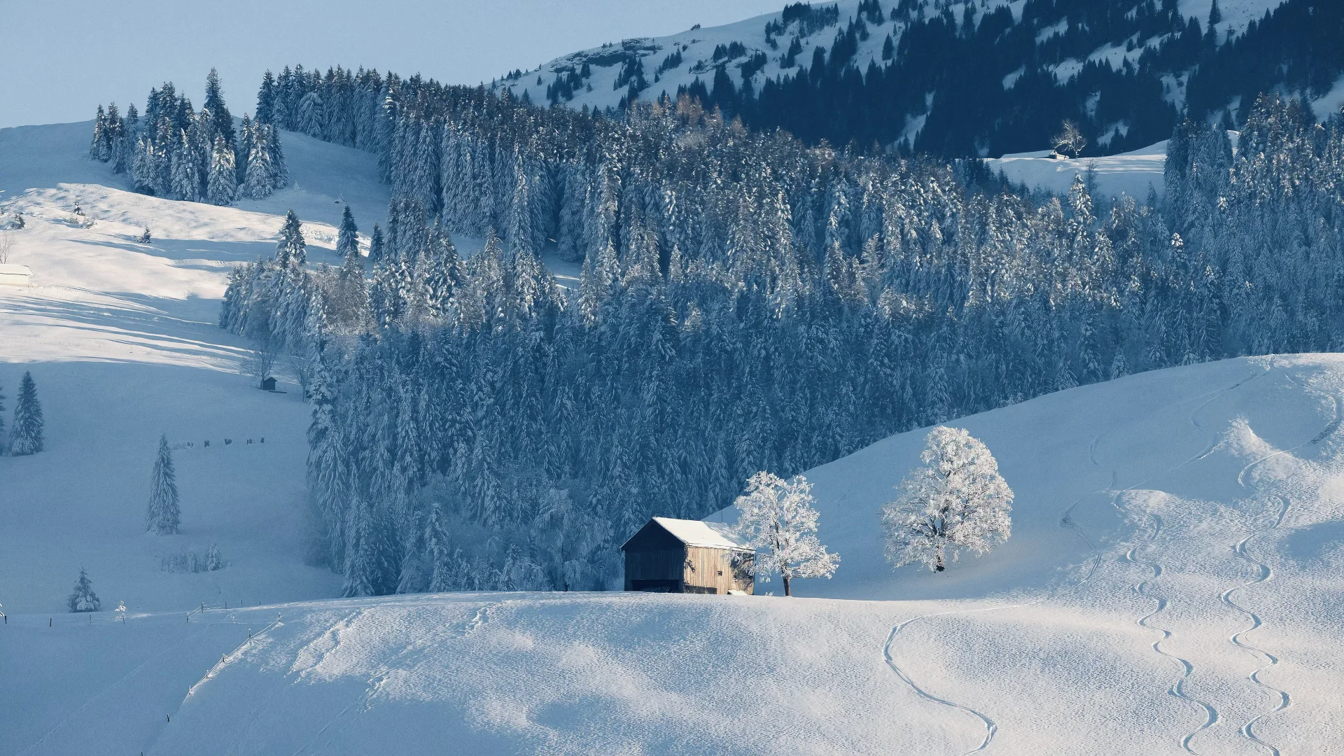 高清壁纸｜背景图 iPad雪景壁纸合集
