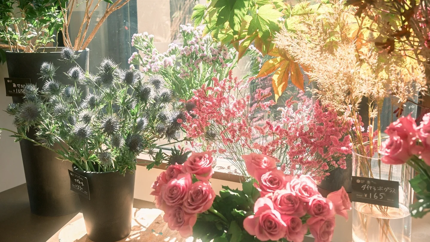 横屏壁纸 🌸🌊🍃