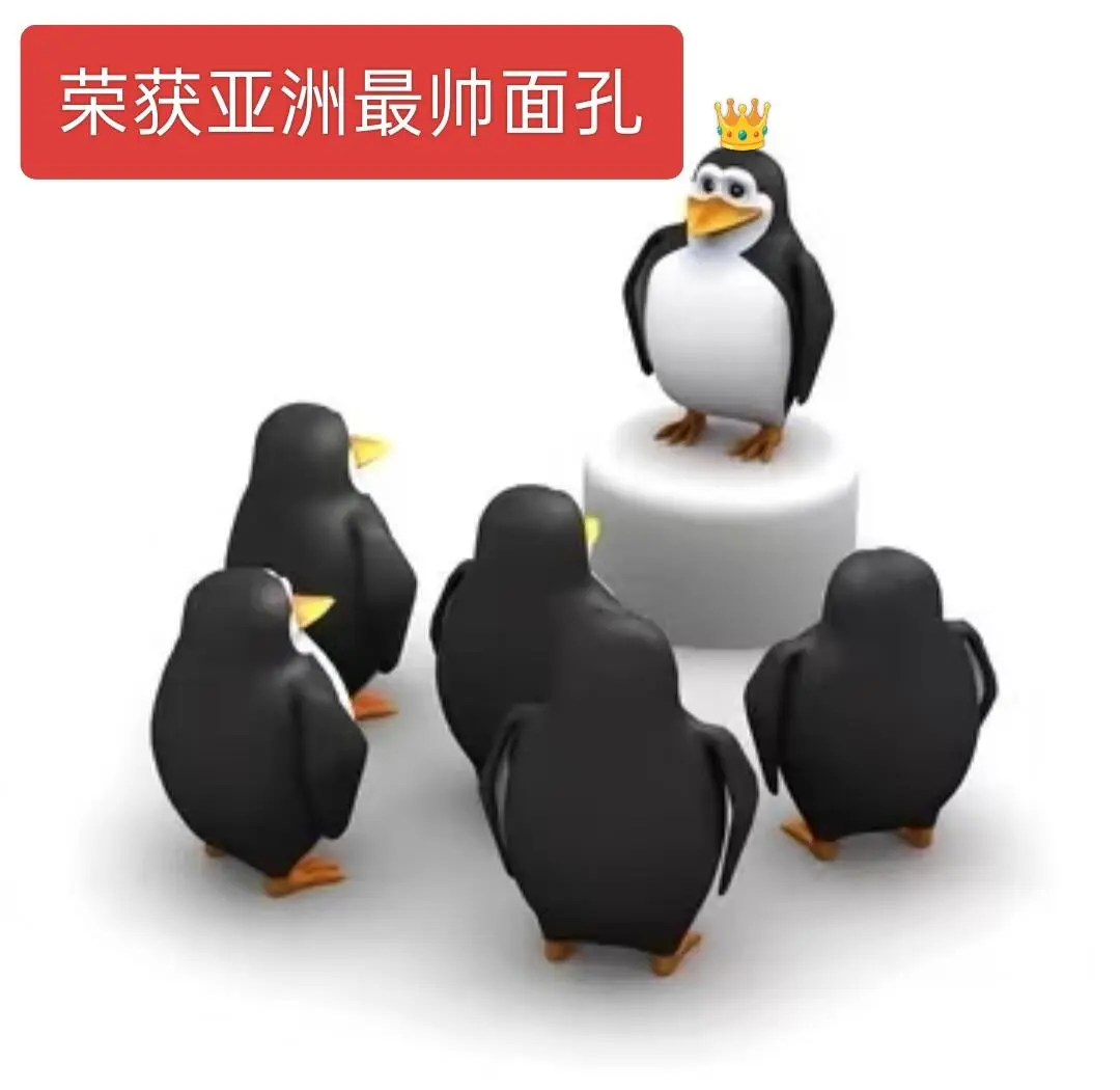 表情包分享｜威廉企鹅自恋版