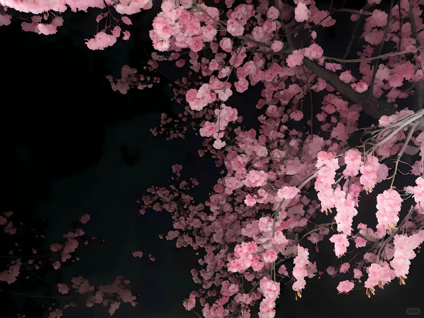 高清4K电脑壁纸