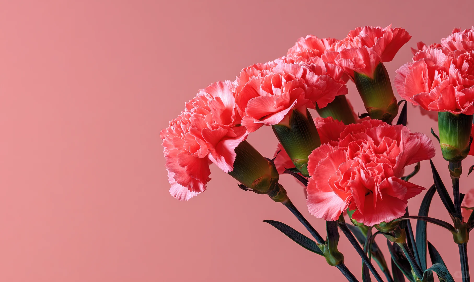 四季风景进电脑！神仙壁纸让桌面美犯规🌸