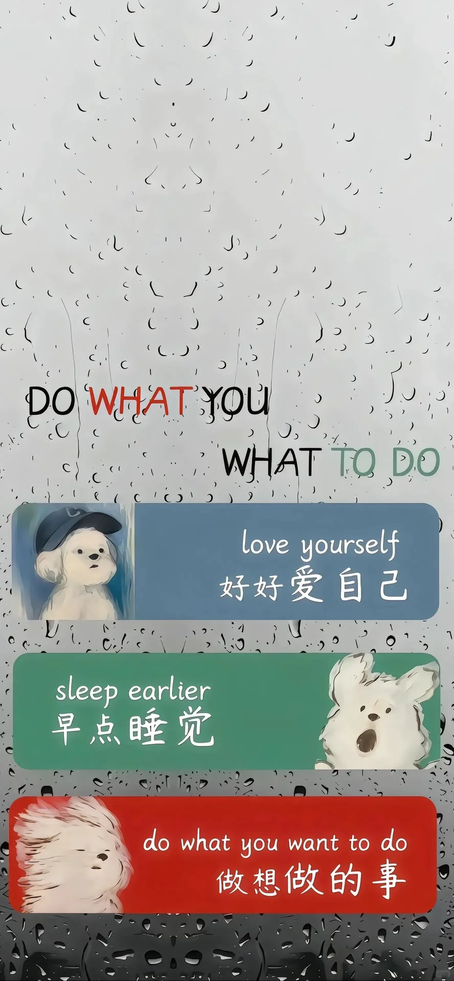 来了来了来了、精选壁纸、更新了