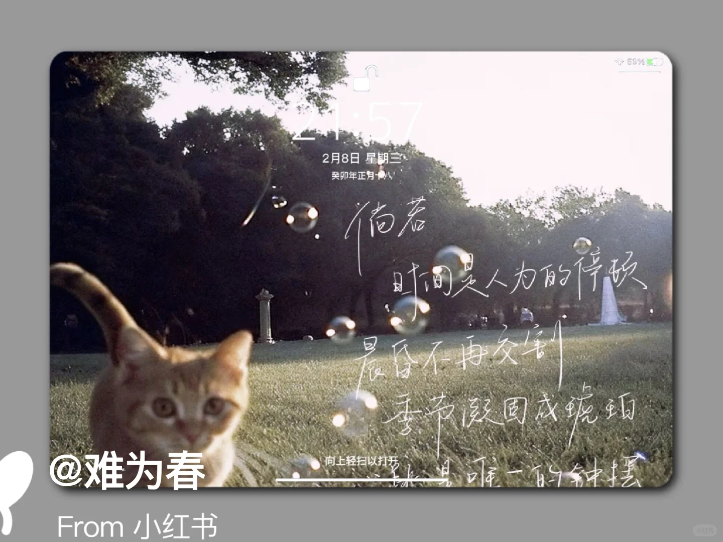 ipad壁纸｜不说永远，在每个瞬间。