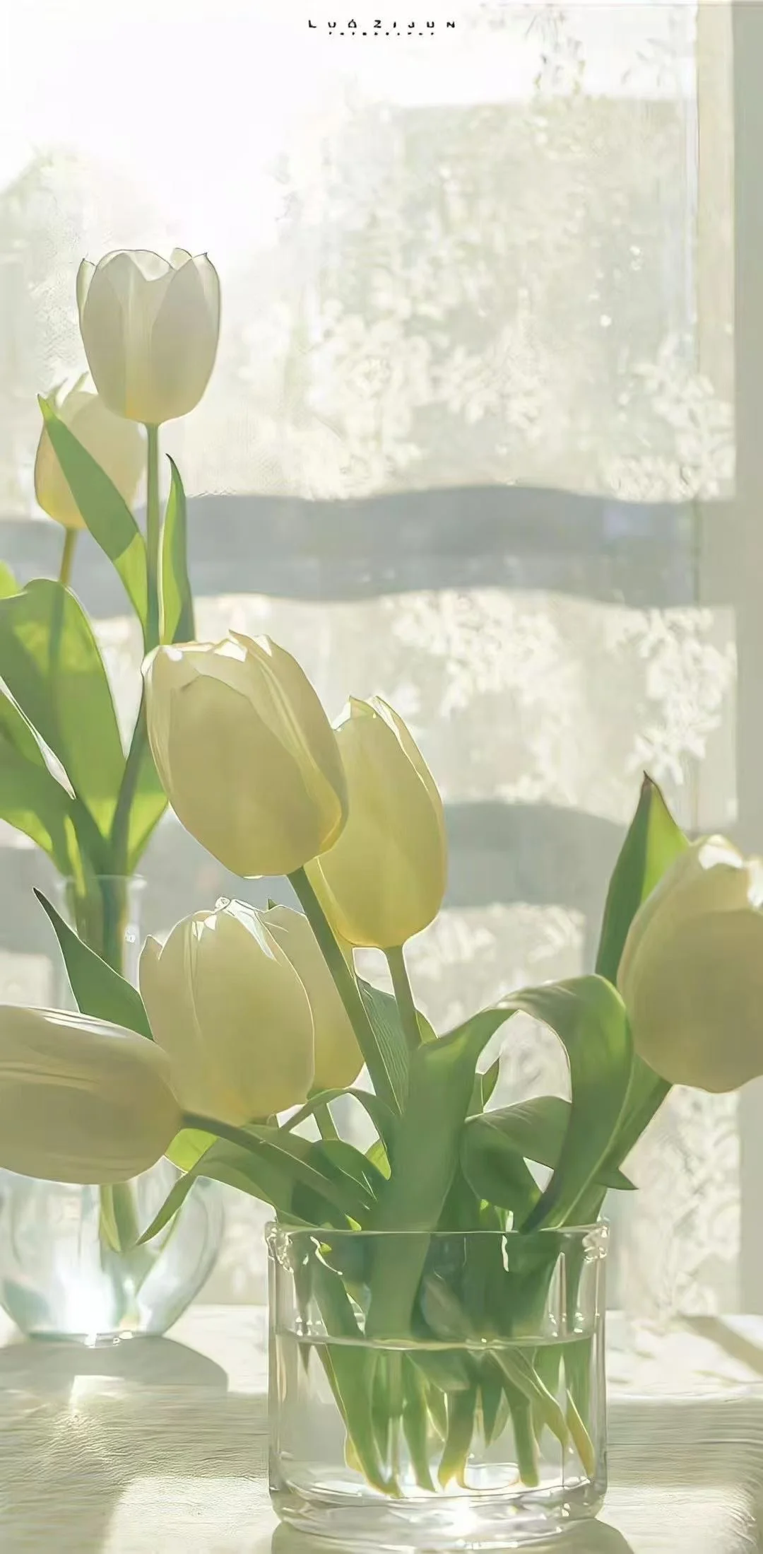 ☘️治愈系壁纸