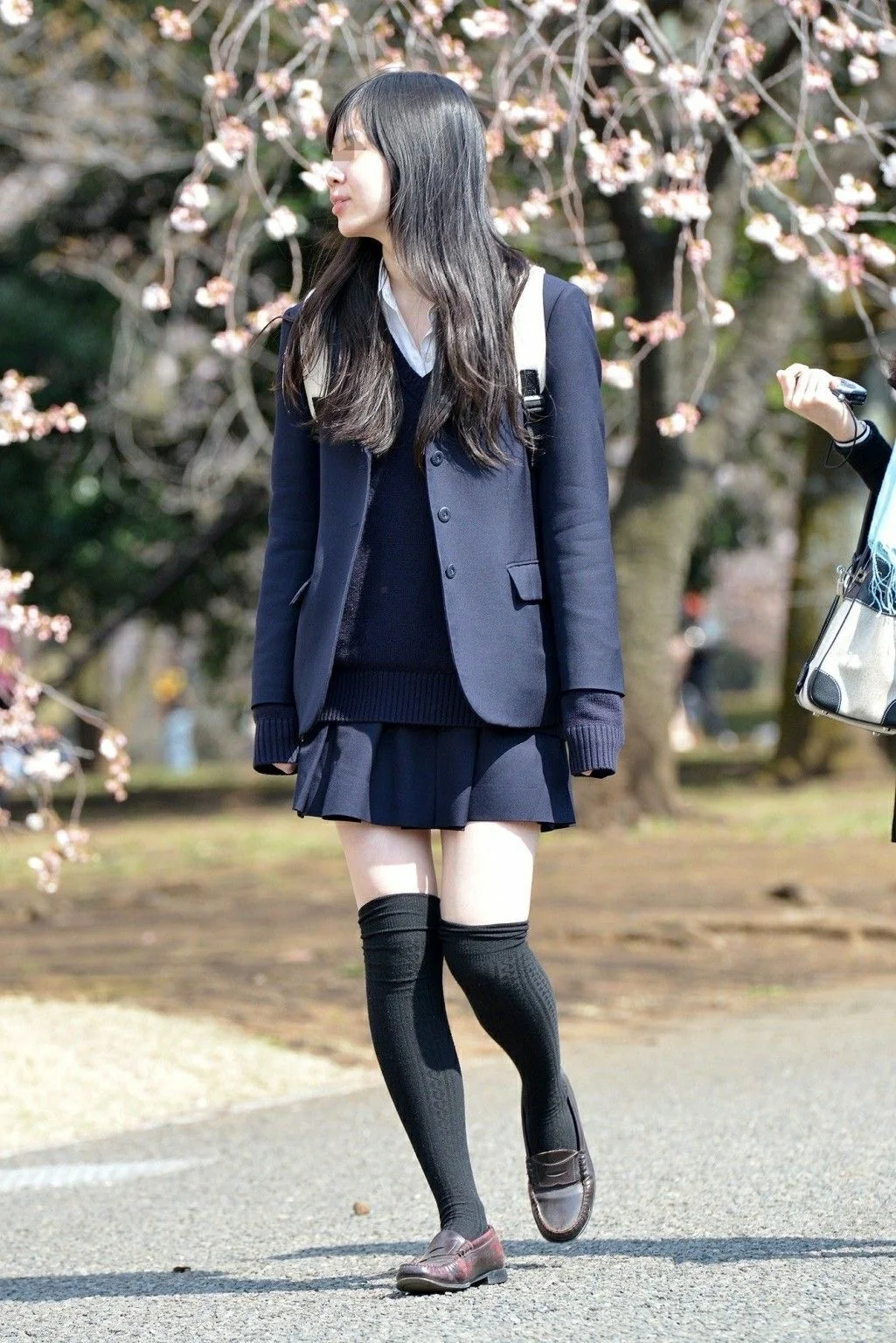 少量过膝袜图鉴～