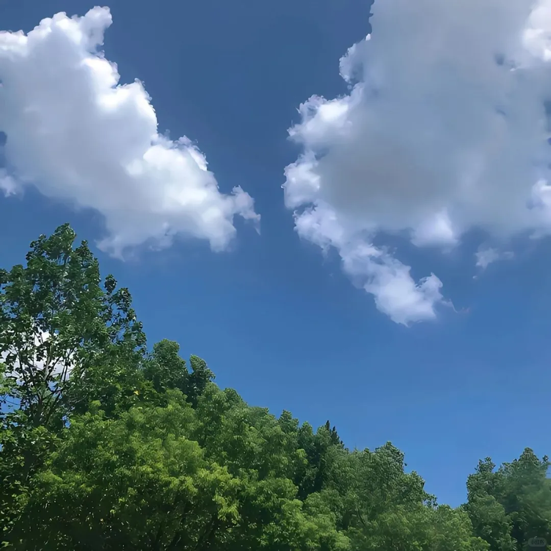 𝙒𝙚𝘾𝙝𝙖𝙩背景图