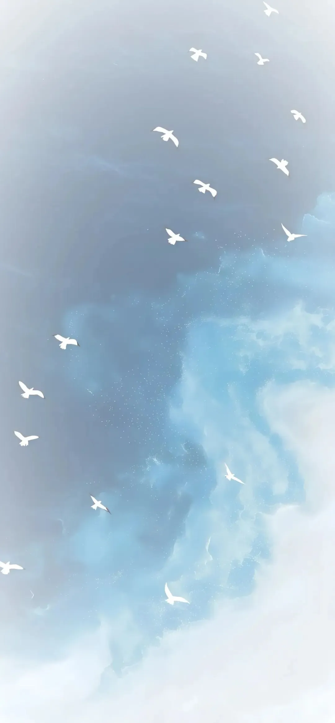 𝙎𝙝𝙖𝙧𝙚｜干净简约风壁纸