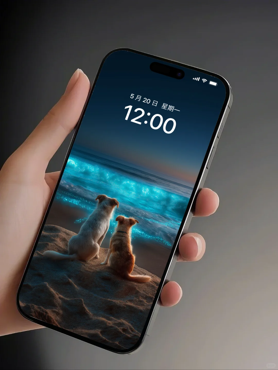手机壁纸｜狗狗、