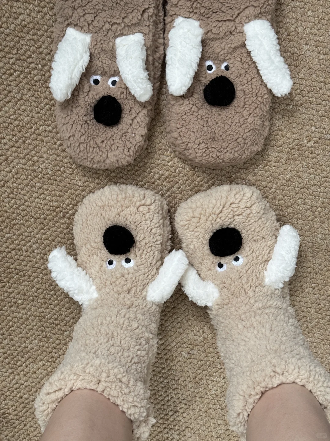 是谁收到了男朋友买的小狗地板袜鞋!!!!!