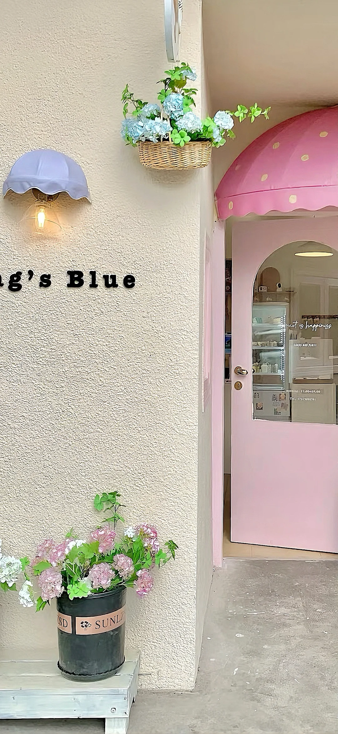 INS-干净清透壁纸｜🤍🩵🫧🐰