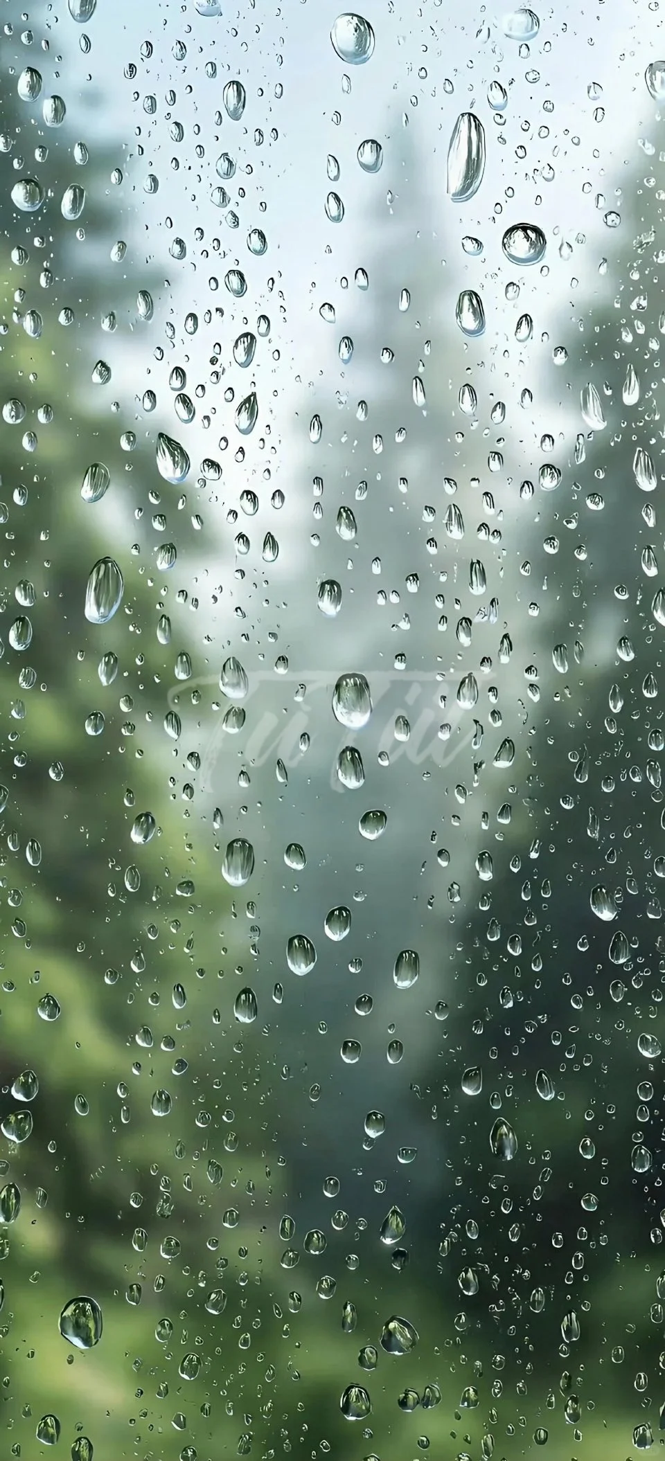 绿色系清新壁纸分享.🧩🍏