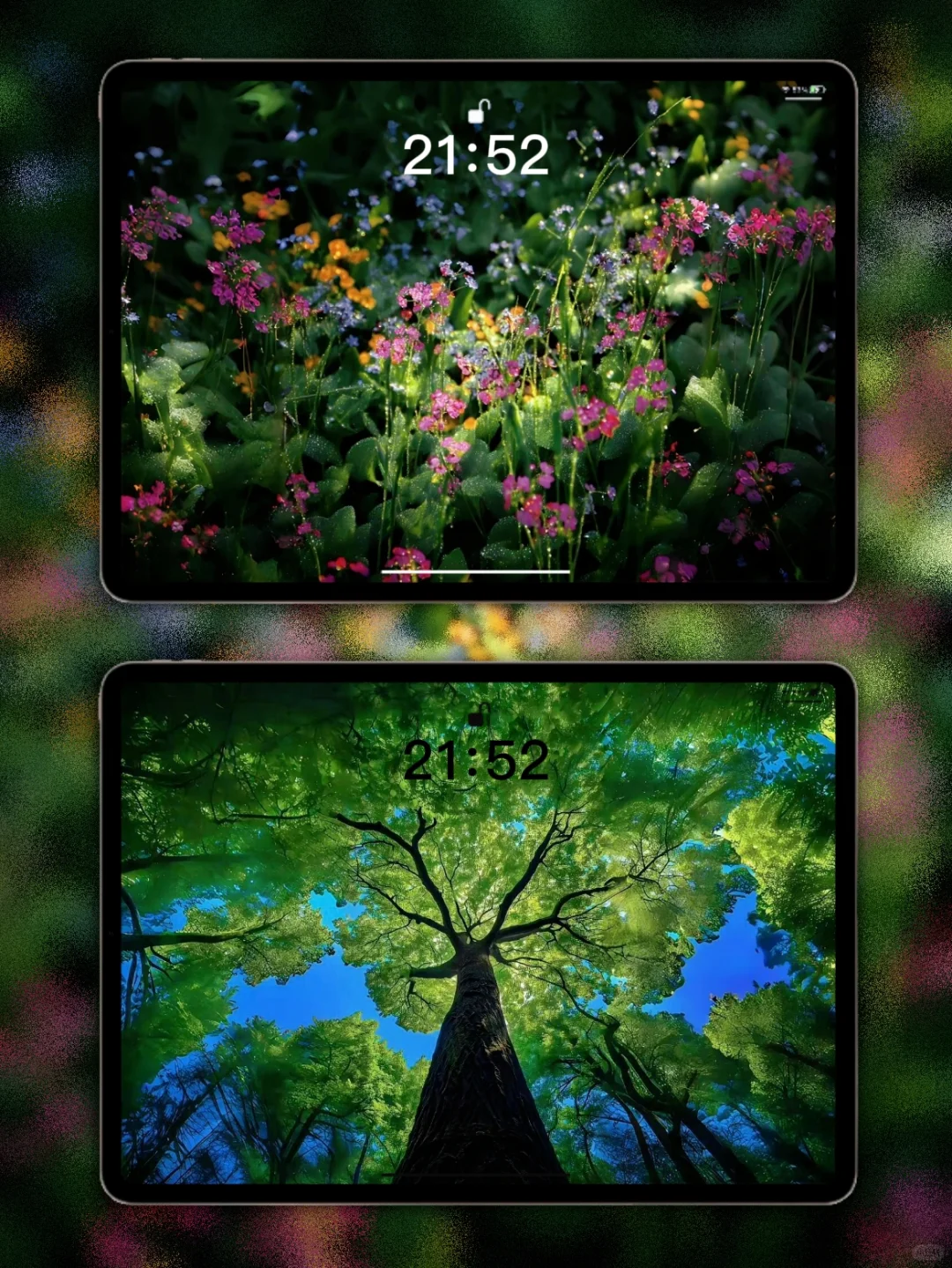 𝙎𝙝𝙖𝙧𝙚｜ios26景深iPad壁纸